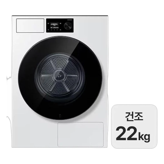 삼성 비스포크 AI 건조기 22kg DV80H22DDW