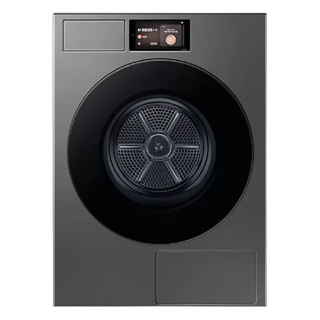삼성 비스포크 AI 건조기 22kg DV90F22CDS