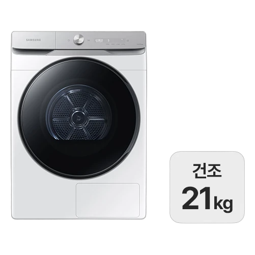 삼성 비스포크 그랑데 AI 건조기 21kg DV21DG8600BW