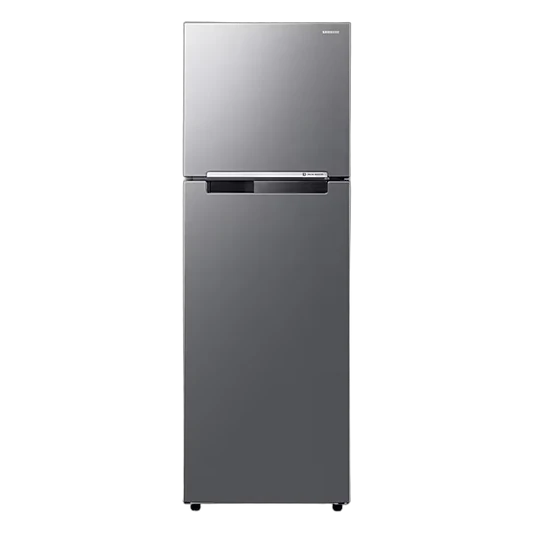 삼성 일반냉장고 255L RT25FARA2S9