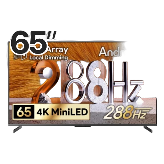 더함 치크 65인치 QD-Mini LED 288Hz